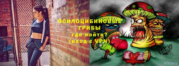 ГАЛЛЮЦИНОГЕННЫЕ ГРИБЫ Каменск-Шахтинский