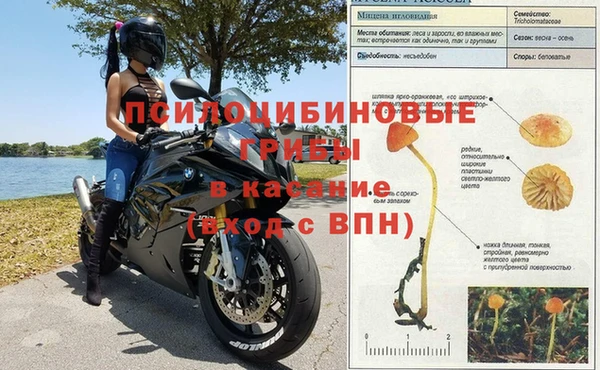ГАЛЛЮЦИНОГЕННЫЕ ГРИБЫ Каменск-Шахтинский