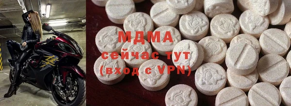 spice Инта
